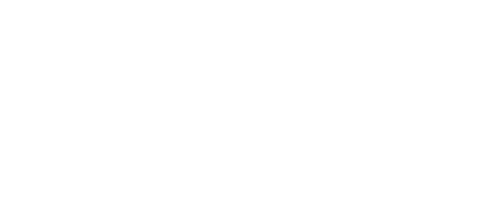 Logo für Webseite Weiss